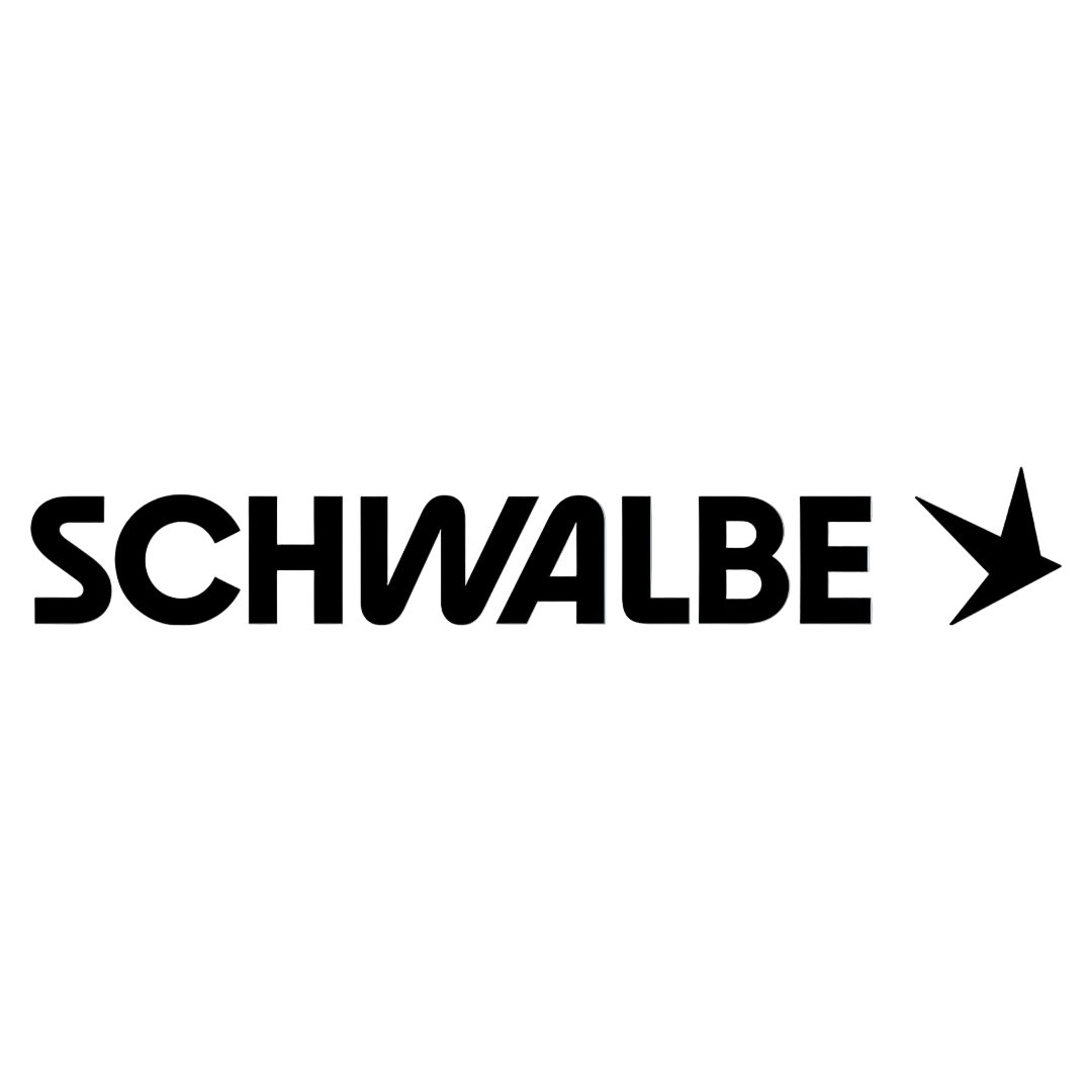The black 'SCHWALBE' brand name with a stylized bird logo, centered on a light blue background.
