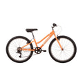 Malvern Star Roxy 24