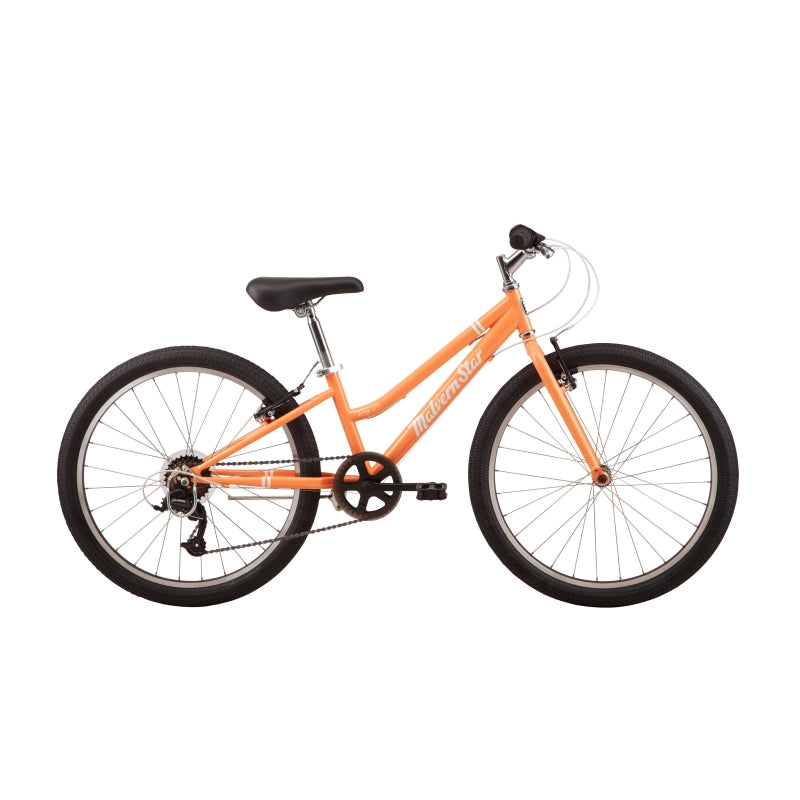 Malvern Star Roxy 24