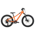 Scott Roxter 200