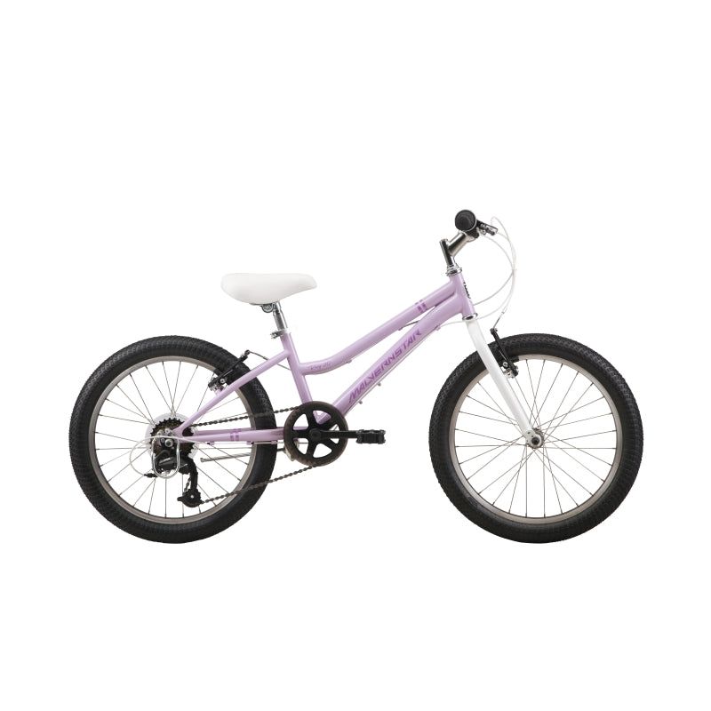 Malvern Star Roxy 20