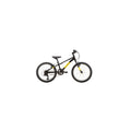 Raleigh Eliminator 20