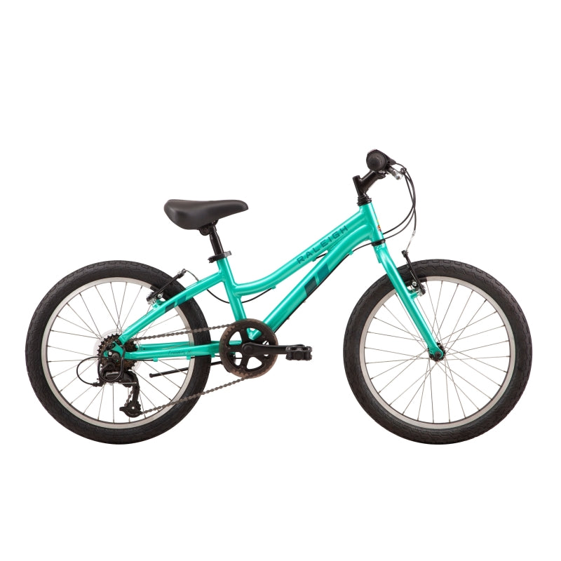 Raleigh Freedom 20