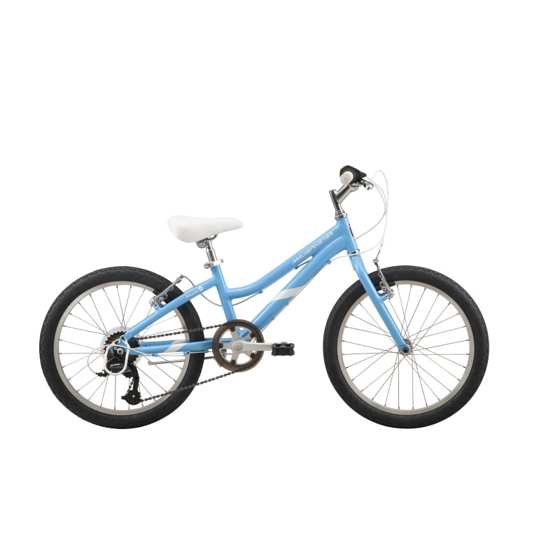Malvern Star Livewire 20