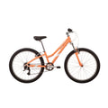 Malvern Star Livewire 24