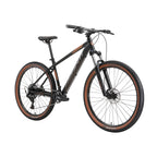 Avanti Montari 2