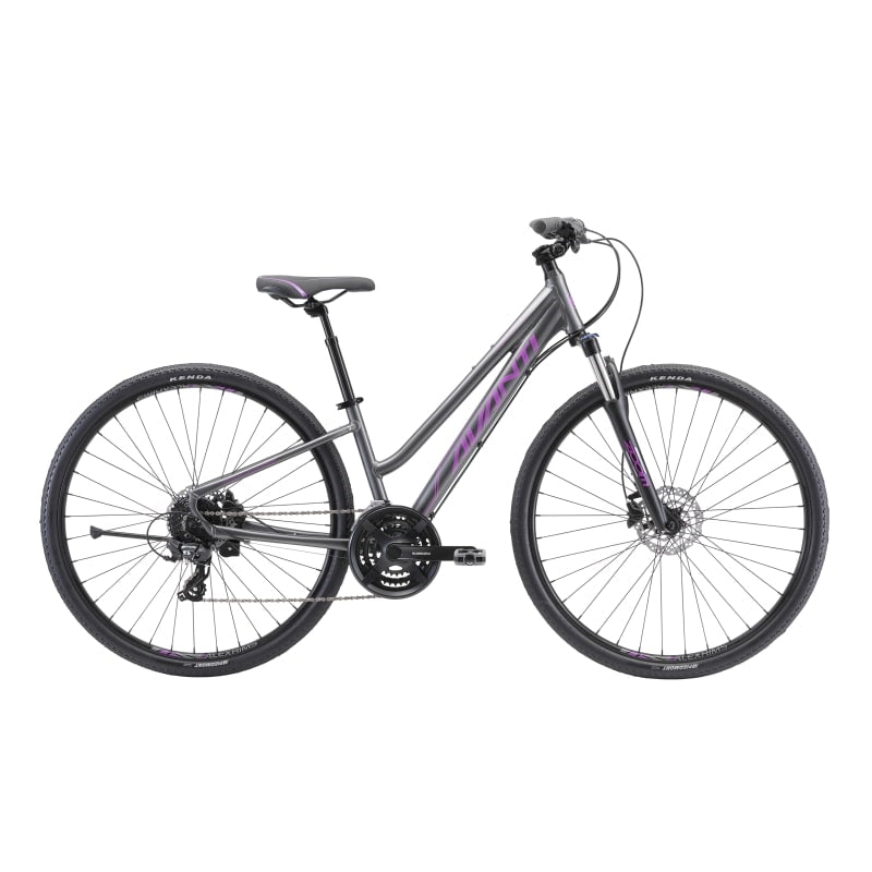 Avanti Discovery 2 Low